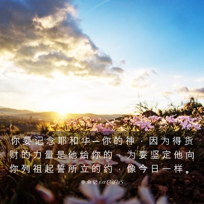 Picture 03 - 申 命 记 8:18 CUVS - 你 要 记 念 耶 和 华 ─ 你 的 神 ， - Bible Verse Picture