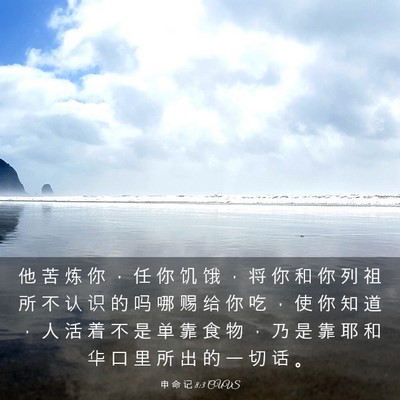 Picture 03 - 申 命 记 8:3 CUVS - 他 苦 炼 你 ， 任 你 饥 饿 ， 将 你 - Bible Verse Picture
