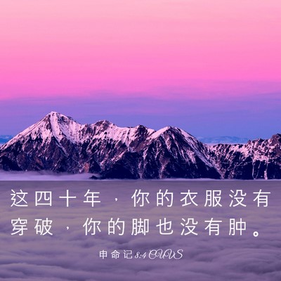 Picture 03 - 申 命 记 8:4 CUVS - 这 四 十 年 ， 你 的 衣 服 没 有 穿 - Bible Verse Picture