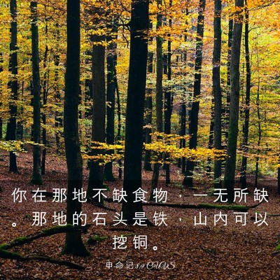 Picture 03 - 申 命 记 8:9 CUVS - 你 在 那 地 不 缺 食 物 ， 一 无 所 - Bible Verse Picture