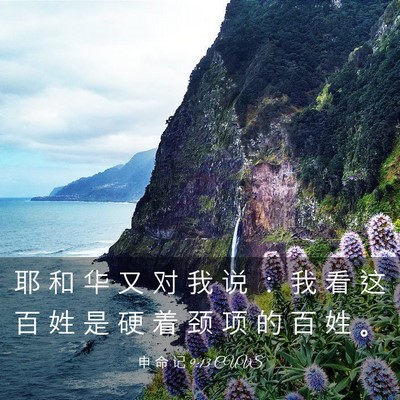 Picture 03 - 申 命 记 9:13 CUVS - 耶 和 华 又 对 我 说 ： 我 看 这 百 - Bible Verse Picture