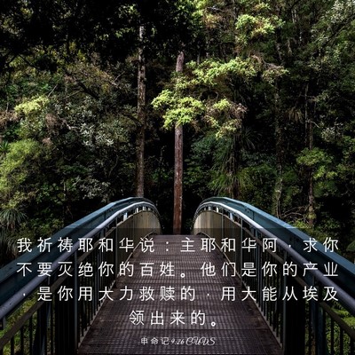Picture 03 - 申 命 记 9:26 CUVS - 我 祈 祷 耶 和 华 说 ： 主 耶 和 华 - Bible Verse Picture