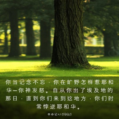 Picture 03 - 申 命 记 9:7 CUVS - 你 当 记 念 不 忘 ， 你 在 旷 野 怎 - Bible Verse Picture