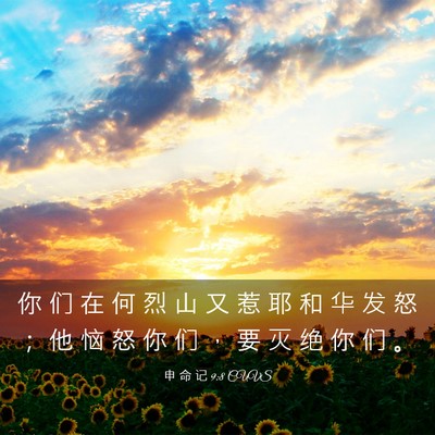 Picture 03 - 申 命 记 9:8 CUVS - 你 们 在 何 烈 山 又 惹 耶 和 华 发 - Bible Verse Picture
