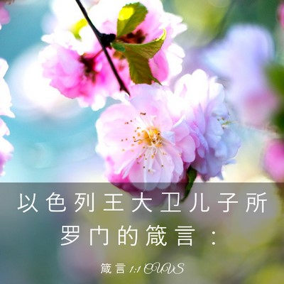 Picture 03 - 箴 言 1:1 CUVS - 以 色 列 王 大 卫 儿 子 所 罗 门 的 - Bible Verse Picture