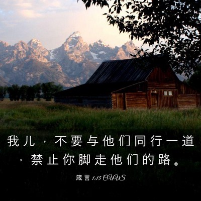 Picture 03 - 箴 言 1:15 CUVS - 我 儿 ， 不 要 与 他 们 同 行 一 道 - Bible Verse Picture