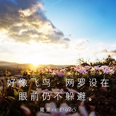 Picture 03 - 箴 言 1:17 CUVS - 好 像 飞 鸟 ， 网 罗 设 在 眼 前 仍 - Bible Verse Picture