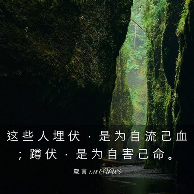 Picture 03 - 箴 言 1:18 CUVS - 这 些 人 埋 伏 ， 是 为 自 流 己 血 - Bible Verse Picture