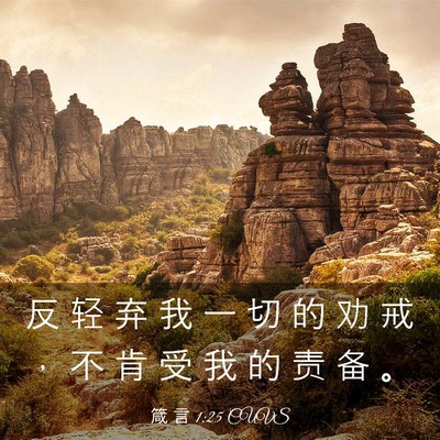 Picture 03 - 箴 言 1:25 CUVS - 反 轻 弃 我 一 切 的 劝 戒 ， 不 肯 - Bible Verse Picture