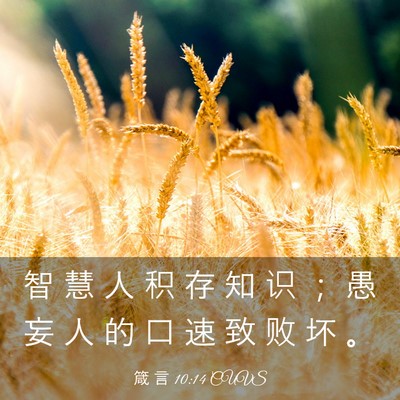 Picture 03 - 箴 言 10:14 CUVS - 智 慧 人 积 存 知 识 ； 愚 妄 人 的 - Bible Verse Picture