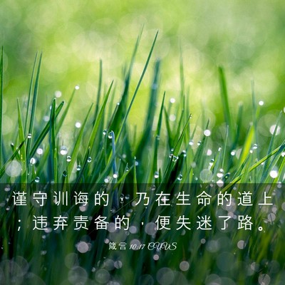 Picture 03 - 箴 言 10:17 CUVS - 谨 守 训 诲 的 ， 乃 在 生 命 的 道 - Bible Verse Picture