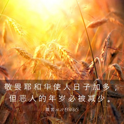 Picture 03 - 箴 言 10:27 CUVS - 敬 畏 耶 和 华 使 人 日 子 加 多 ； - Bible Verse Picture