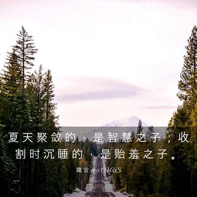 Picture 03 - 箴 言 10:5 CUVS - 夏 天 聚 敛 的 ， 是 智 慧 之 子 ； - Bible Verse Picture