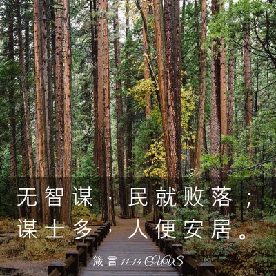 Picture 03 - 箴 言 11:14 CUVS - 无 智 谋 ， 民 就 败 落 ； 谋 士 多 - Bible Verse Picture