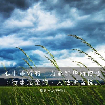 Picture 03 - 箴 言 11:20 CUVS - 心 中 乖 僻 的 ， 为 耶 和 华 所 憎 - Bible Verse Picture