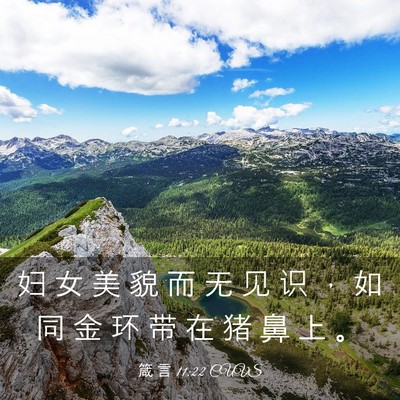 Picture 03 - 箴 言 11:22 CUVS - 妇 女 美 貌 而 无 见 识 ， 如 同 金 - Bible Verse Picture