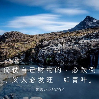 Picture 03 - 箴 言 11:28 CUVS - 倚 仗 自 己 财 物 的 ， 必 跌 倒 ； - Bible Verse Picture