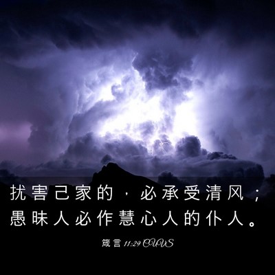 Picture 03 - 箴 言 11:29 CUVS - 扰 害 己 家 的 ， 必 承 受 清 风 ； - Bible Verse Picture