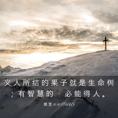 Picture 03 - 箴 言 11:30 CUVS - 义 人 所 结 的 果 子 就 是 生 命 树 - Bible Verse Picture