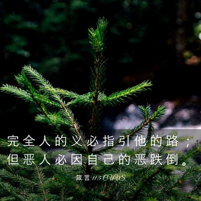 Picture 03 - 箴 言 11:5 CUVS - 完 全 人 的 义 必 指 引 他 的 路 ； - Bible Verse Picture