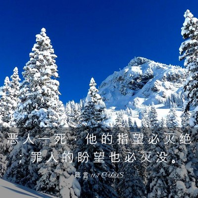 Picture 03 - 箴 言 11:7 CUVS - 恶 人 一 死 ， 他 的 指 望 必 灭 绝 - Bible Verse Picture
