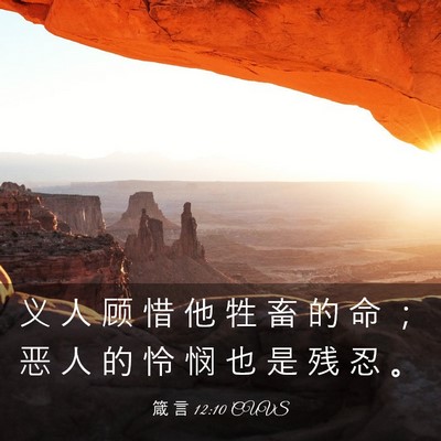 Picture 03 - 箴 言 12:10 CUVS - 义 人 顾 惜 他 牲 畜 的 命 ； 恶 人 - Bible Verse Picture