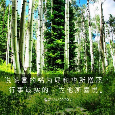 Picture 03 - 箴 言 12:22 CUVS - 说 谎 言 的 嘴 为 耶 和 华 所 憎 恶 - Bible Verse Picture