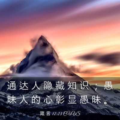 Picture 03 - 箴 言 12:23 CUVS - 通 达 人 隐 藏 知 识 ； 愚 昧 人 的 - Bible Verse Picture