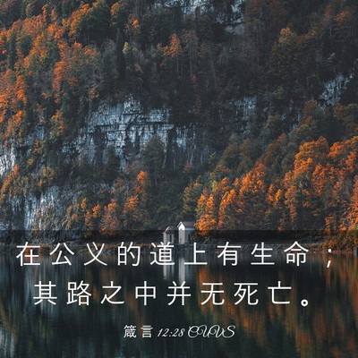 Picture 03 - 箴 言 12:28 CUVS - 在 公 义 的 道 上 有 生 命 ； 其 路 - Bible Verse Picture