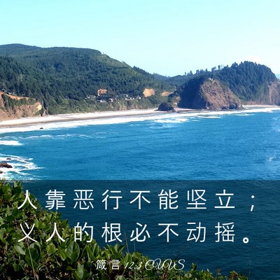 Picture 03 - 箴 言 12:3 CUVS - 人 靠 恶 行 不 能 坚 立 ； 义 人 的 - Bible Verse Picture