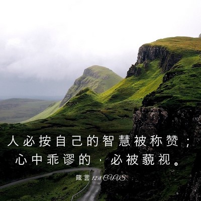 Picture 03 - 箴 言 12:8 CUVS - 人 必 按 自 己 的 智 慧 被 称 赞 ； - Bible Verse Picture