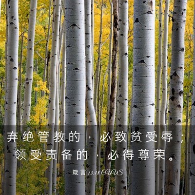 Picture 03 - 箴 言 13:18 CUVS - 弃 绝 管 教 的 ， 必 致 贫 受 辱 ； - Bible Verse Picture