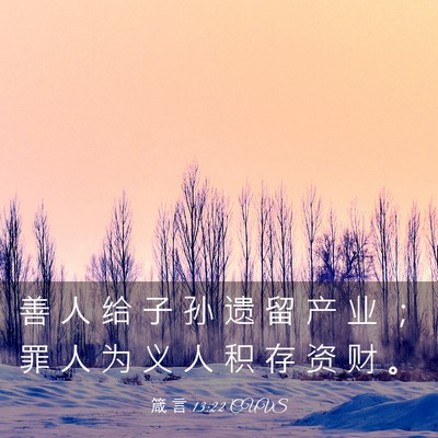 Picture 03 - 箴 言 13:22 CUVS - 善 人 给 子 孙 遗 留 产 业 ； 罪 人 - Bible Verse Picture