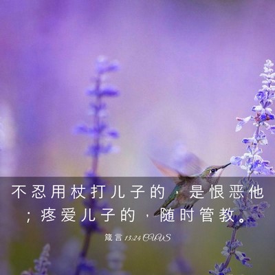 Picture 03 - 箴 言 13:24 CUVS - 不 忍 用 杖 打 儿 子 的 ， 是 恨 恶 - Bible Verse Picture