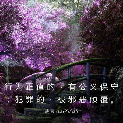 Picture 03 - 箴 言 13:6 CUVS - 行 为 正 直 的 ， 有 公 义 保 守 ； - Bible Verse Picture