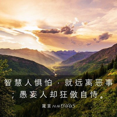Picture 03 - 箴 言 14:16 CUVS - 智 慧 人 惧 怕 ， 就 远 离 恶 事 ； - Bible Verse Picture