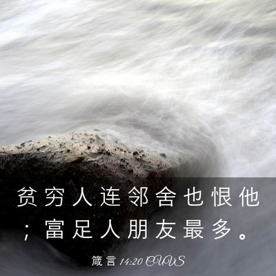 Picture 03 - 箴 言 14:20 CUVS - 贫 穷 人 连 邻 舍 也 恨 他 ； 富 足 - Bible Verse Picture