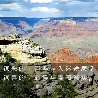 Picture 03 - 箴 言 14:22 CUVS - 谋 恶 的 ， 岂 非 走 入 迷 途 麽 ？ - Bible Verse Picture
