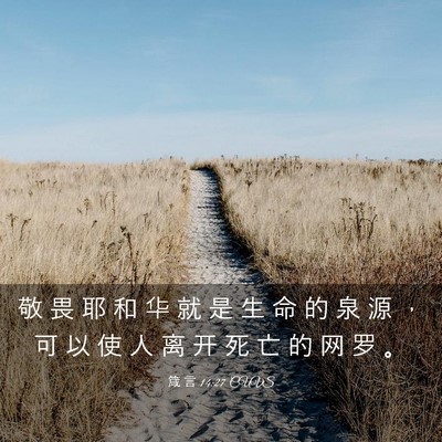 Picture 03 - 箴 言 14:27 CUVS - 敬 畏 耶 和 华 就 是 生 命 的 泉 源 - Bible Verse Picture