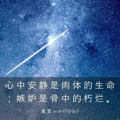 Picture 03 - 箴 言 14:30 CUVS - 心 中 安 静 是 肉 体 的 生 命 ； 嫉 - Bible Verse Picture