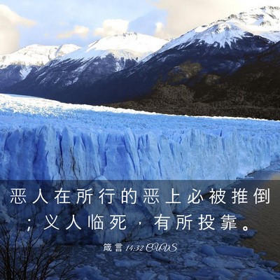 Picture 03 - 箴 言 14:32 CUVS - 恶 人 在 所 行 的 恶 上 必 被 推 倒 - Bible Verse Picture