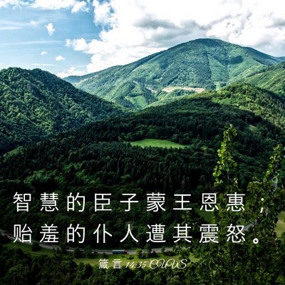 Picture 03 - 箴 言 14:35 CUVS - 智 慧 的 臣 子 蒙 王 恩 惠 ； 贻 羞 - Bible Verse Picture