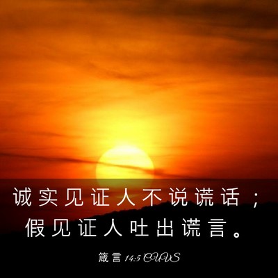 Picture 03 - 箴 言 14:5 CUVS - 诚 实 见 证 人 不 说 谎 话 ； 假 见 - Bible Verse Picture