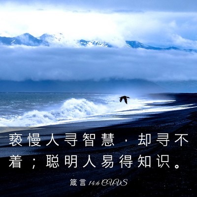 Picture 03 - 箴 言 14:6 CUVS - 亵 慢 人 寻 智 慧 ， 却 寻 不 着 ； - Bible Verse Picture