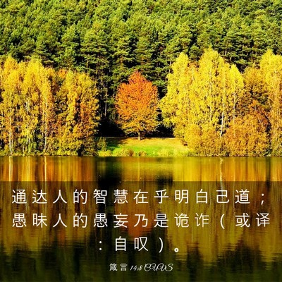 Picture 03 - 箴 言 14:8 CUVS - 通 达 人 的 智 慧 在 乎 明 白 己 道 - Bible Verse Picture