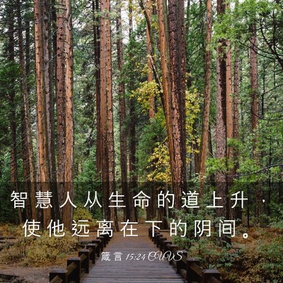 Picture 03 - 箴 言 15:24 CUVS - 智 慧 人 从 生 命 的 道 上 升 ， 使 - Bible Verse Picture