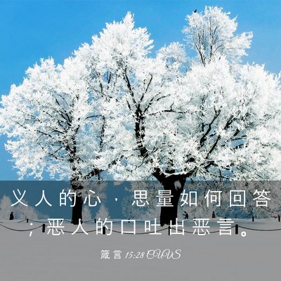 Picture 03 - 箴 言 15:28 CUVS - 义 人 的 心 ， 思 量 如 何 回 答 ； - Bible Verse Picture