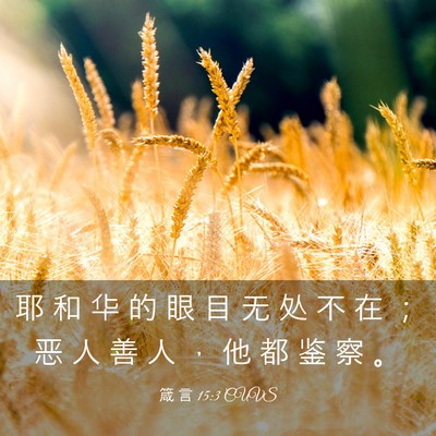 Picture 03 - 箴 言 15:3 CUVS - 耶 和 华 的 眼 目 无 处 不 在 ； 恶 - Bible Verse Picture