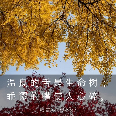 Picture 03 - 箴 言 15:4 CUVS - 温 良 的 舌 是 生 命 树 ； 乖 谬 的 - Bible Verse Picture