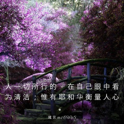 Picture 03 - 箴 言 16:2 CUVS - 人 一 切 所 行 的 ， 在 自 己 眼 中 - Bible Verse Picture